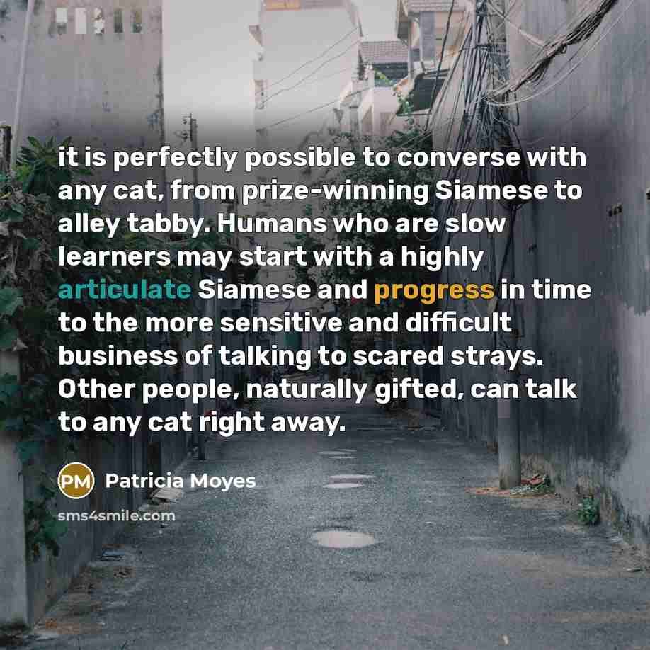 “it is perfectly possible to converse with any cat, from…” quote by Patricia Moyes