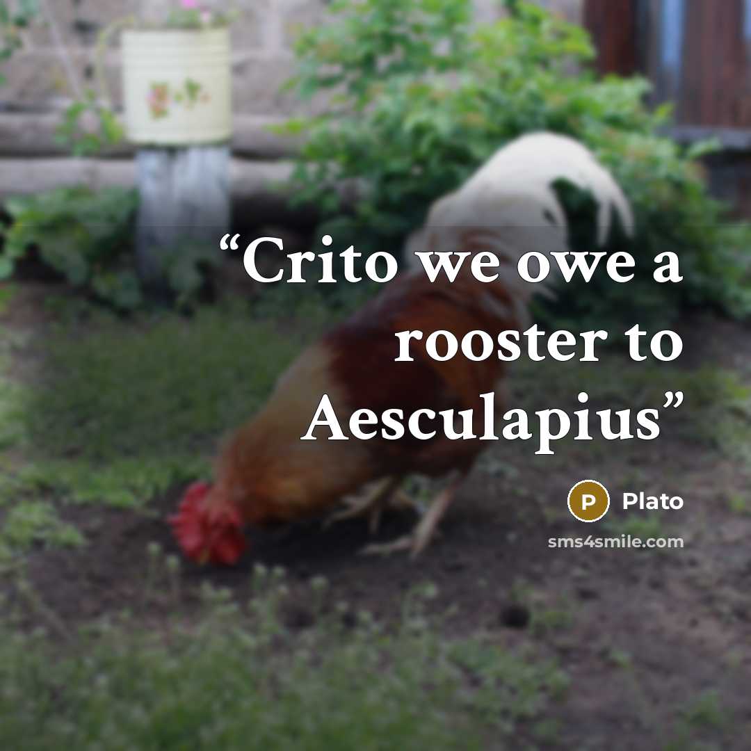 “Crito we owe a rooster to Aesculapius” quote by Plato