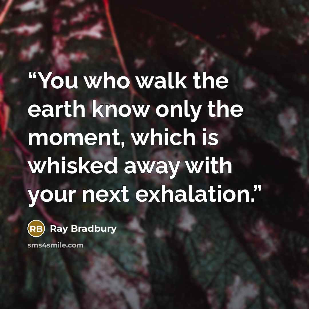 “You who walk the earth know only the moment, which is whisked away with your next exhalation.” quote by Ray Bradbury