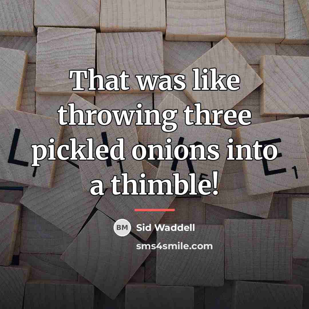 “That was like throwing three pickled onions into a thimble!…” quote by Sid Waddell