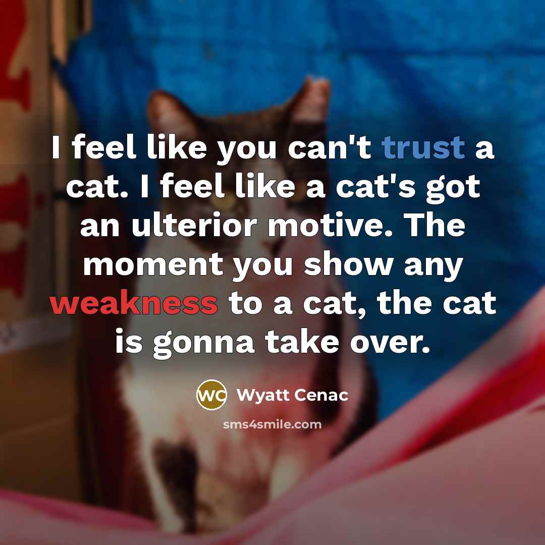 “I feel like you can't trust a cat. I feel like a cat's got an ulterior motive. The moment you show any weakness to a cat, the cat is gonna take over.” quote by Wyatt Cenac