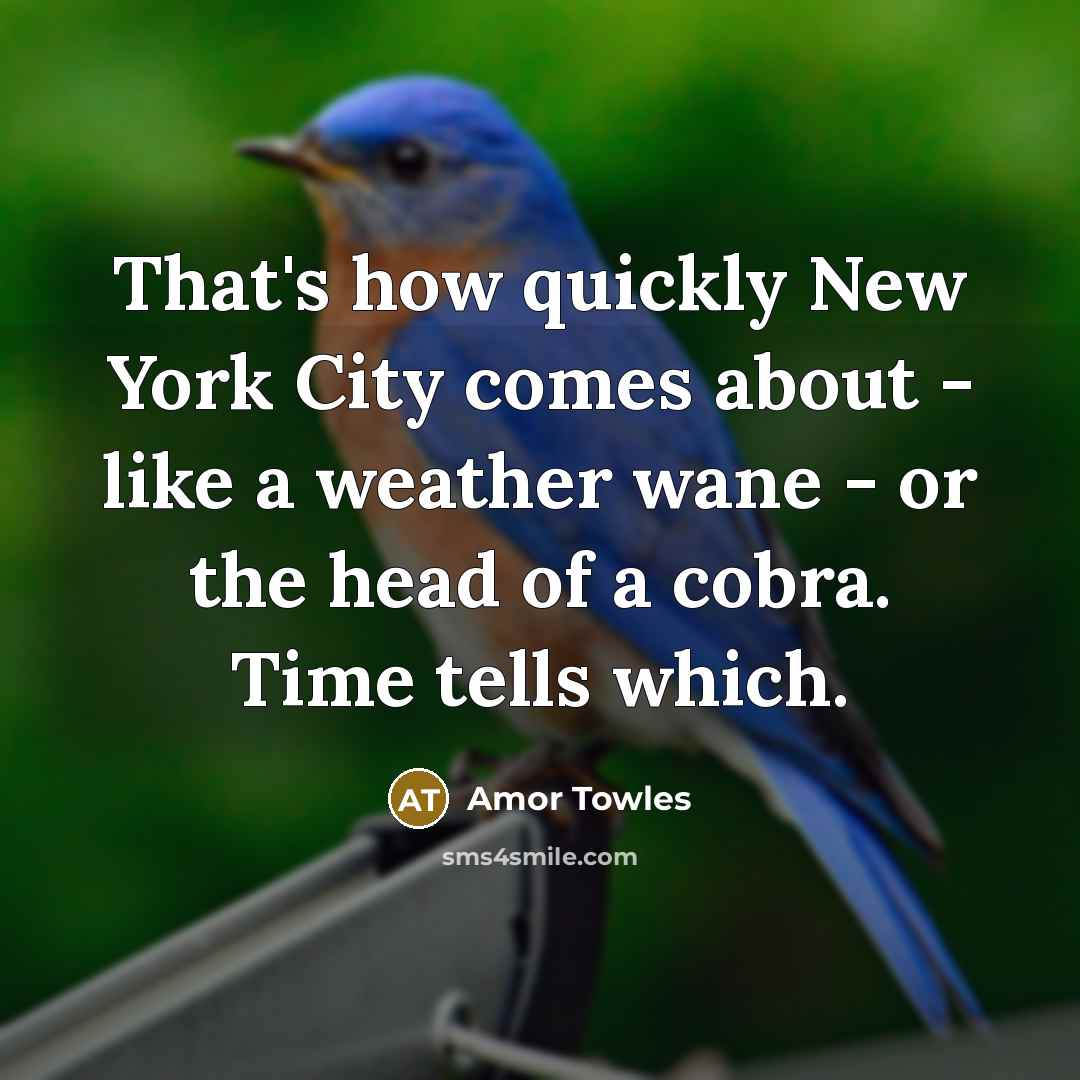 “That's how quickly New York City comes about - like…” quote by Amor Towles