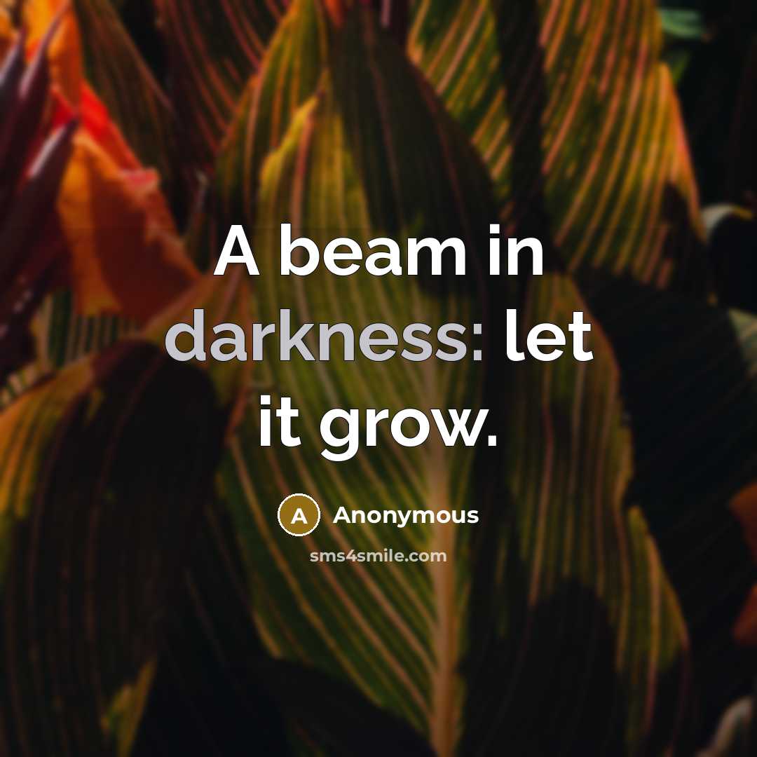 “A beam in darkness: let it grow.…” quote by Anonymous