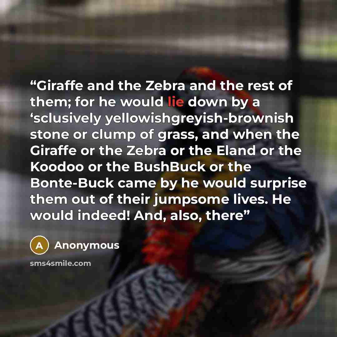 “Giraffe and the Zebra and the rest of them; for he would lie down by a ‘sclusively yellowishgreyish-brownish stone or clump of grass, and when the Giraffe or the Zebra or the Eland or the Koodoo or the BushBuck or the Bonte-Buck came by he would surprise them out of their jumpsome lives. He would…” quote by Anonymous