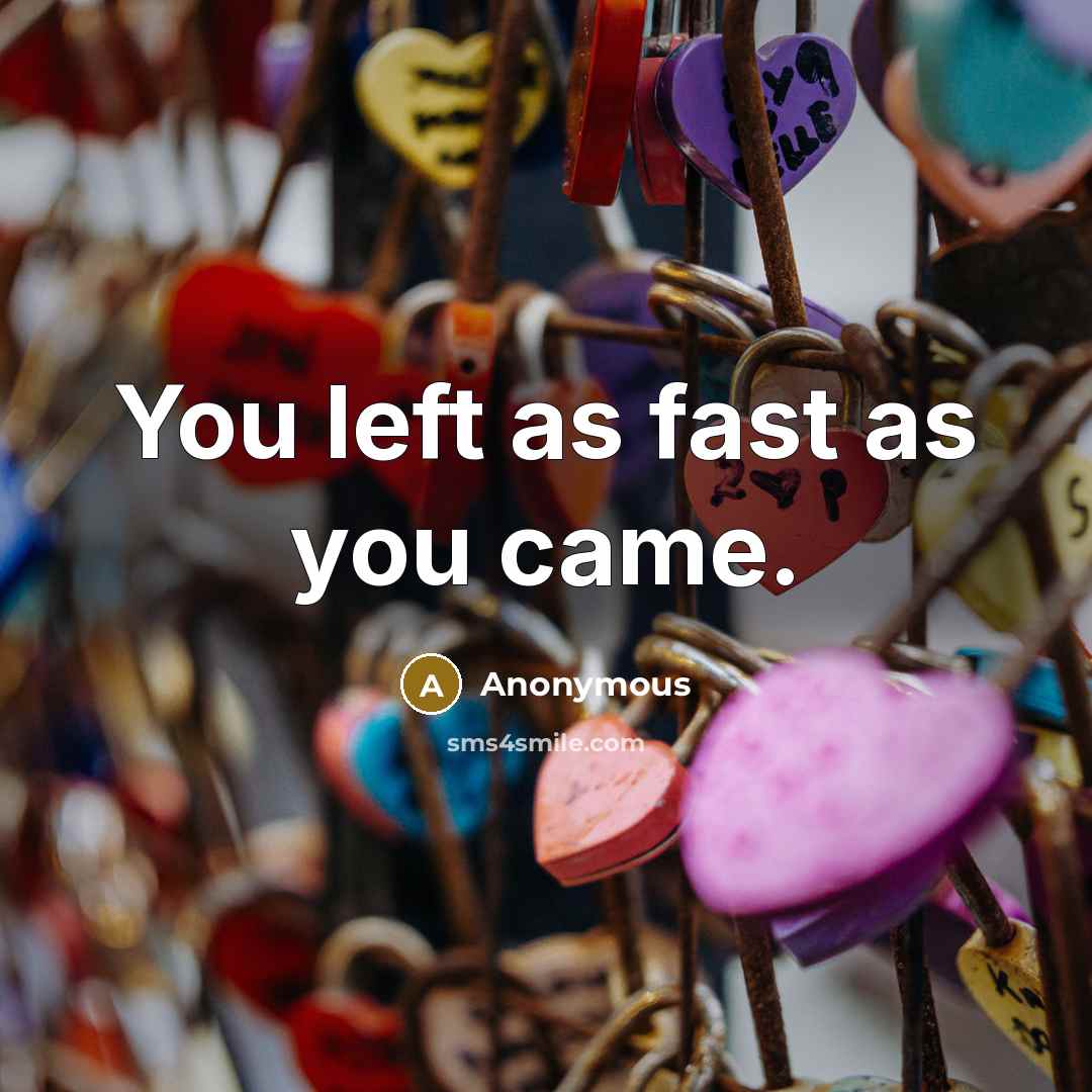 “You left as fast as you came.…” quote by Anonymous