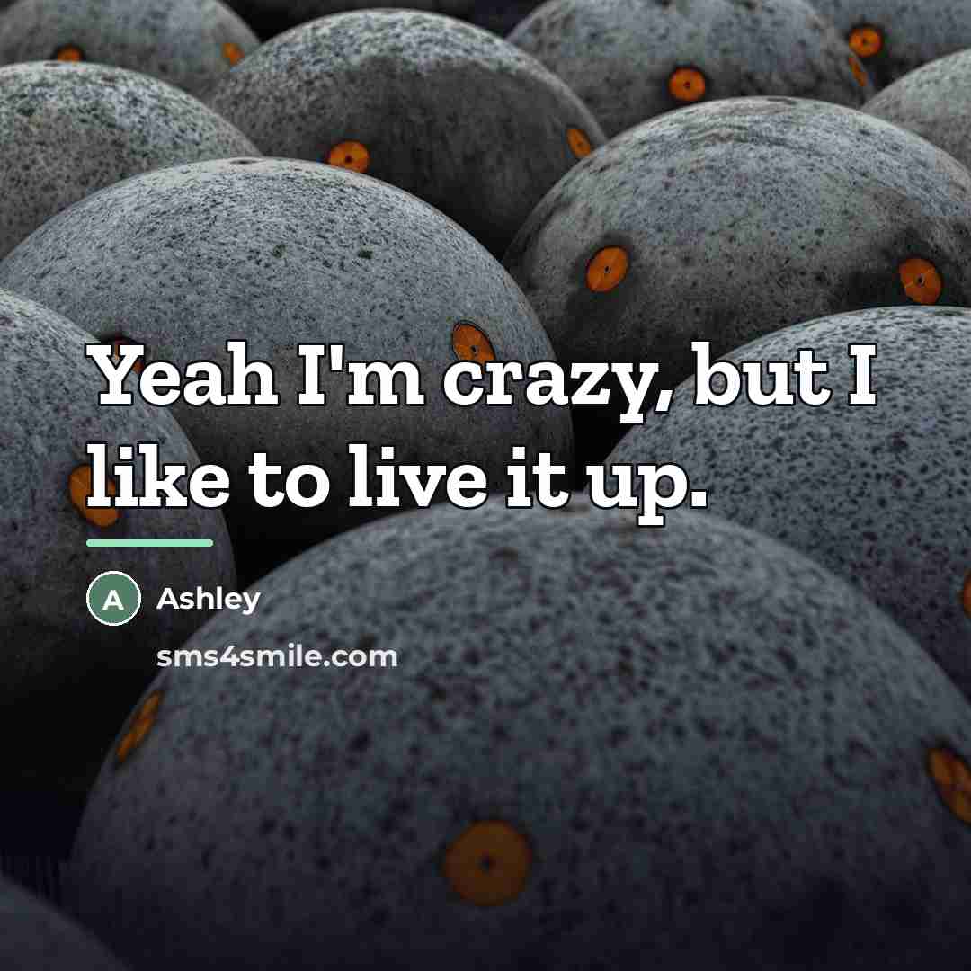 “Yeah I'm crazy, but I like to live it up.…” quote by Ashley