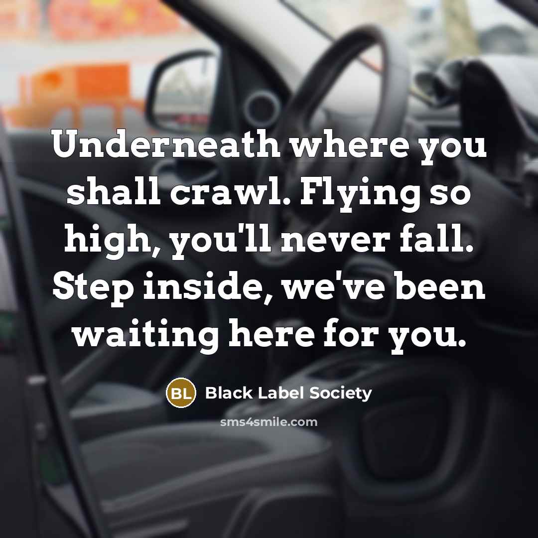 “Underneath where you shall crawl. Flying so high, you'll never…” quote by Black Label Society