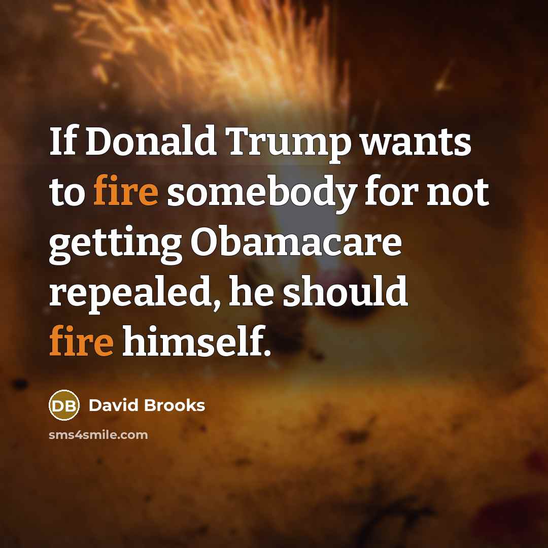 “If Donald Trump wants to fire somebody for not getting Obamacare repealed, he should fire himself.” quote by David Brooks
