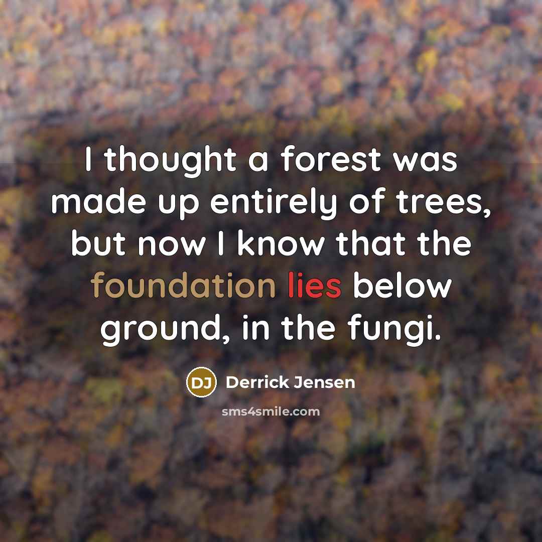 “I thought a forest was made up entirely of trees, but now I know that the foundation lies below ground, in the fungi.” quote by Derrick Jensen