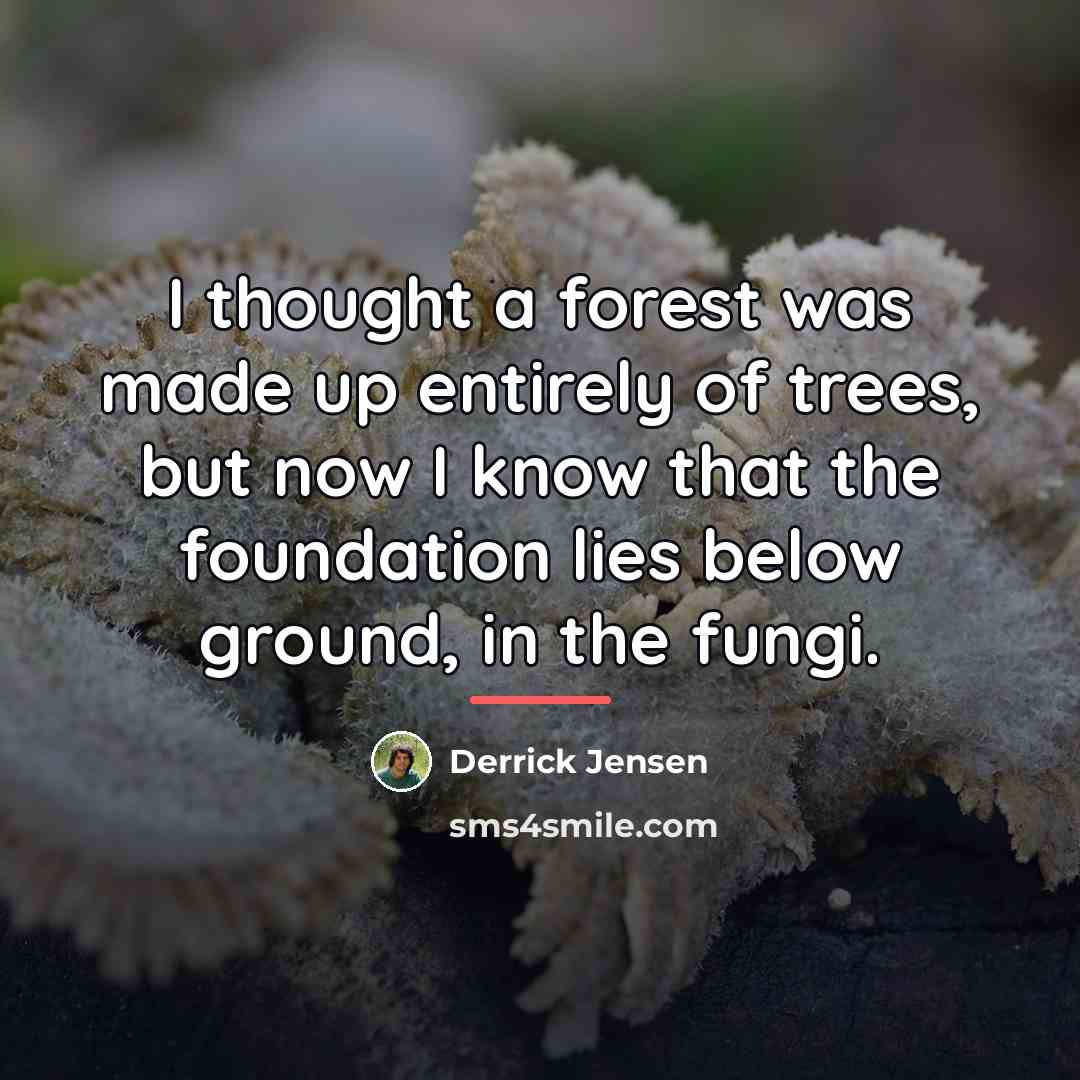 “I thought a forest was made up entirely of trees,…” quote by Derrick Jensen
