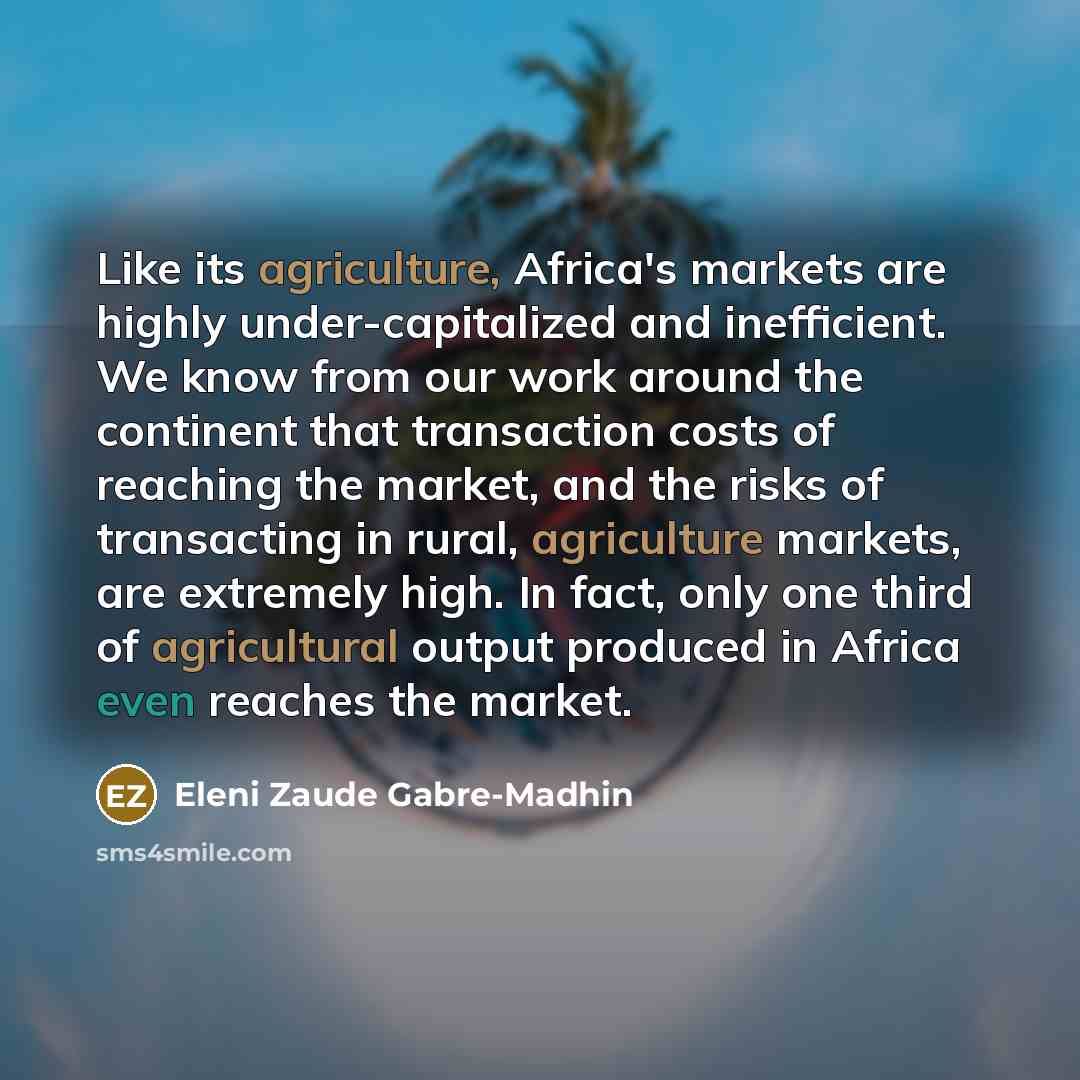 “Like its agriculture, Africa's markets are highly under-capitalized and inefficient.…” quote by Eleni Zaude Gabre-Madhin
