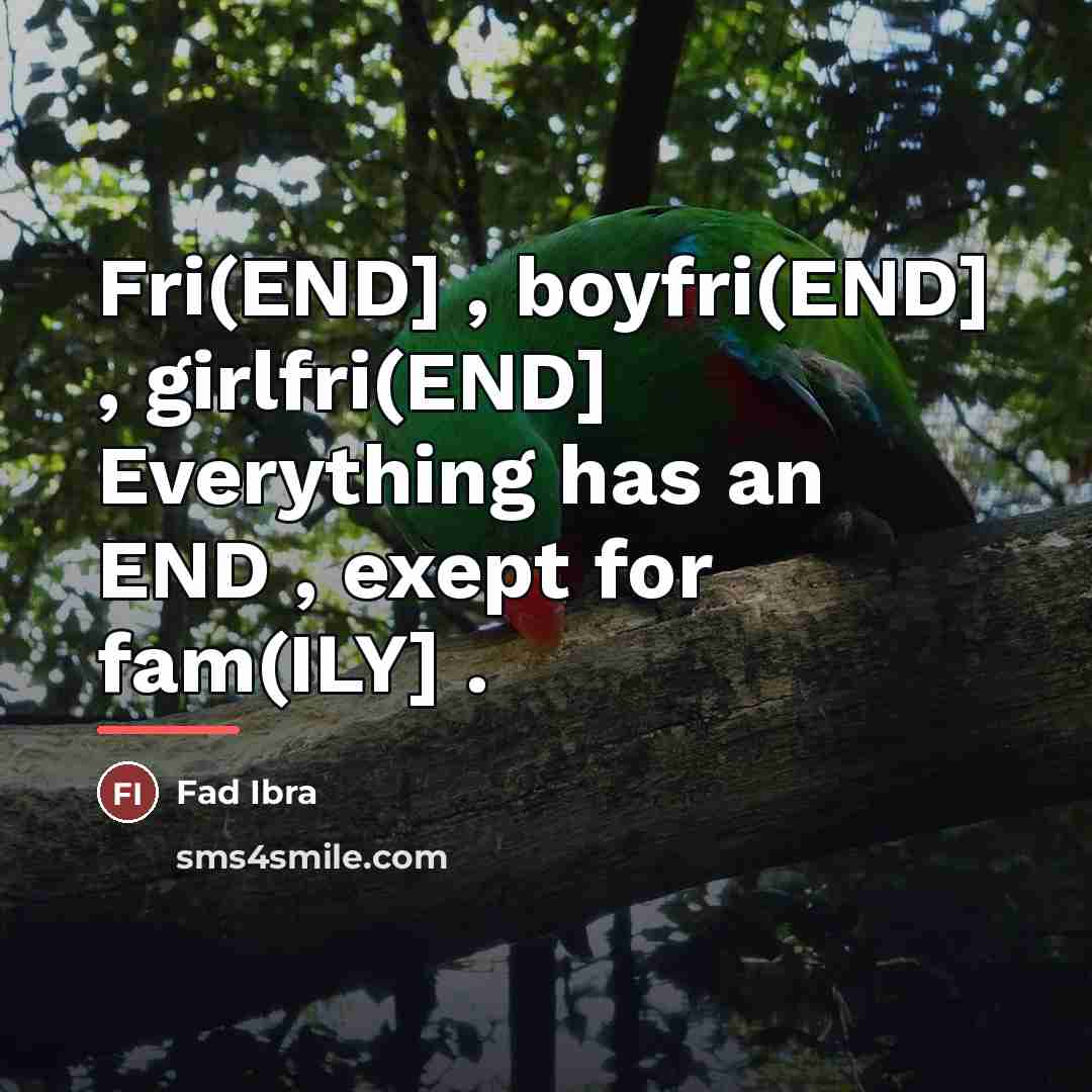 “Fri(END] , boyfri(END] , girlfri(END] Everything has an END ,…” quote by Fad Ibra