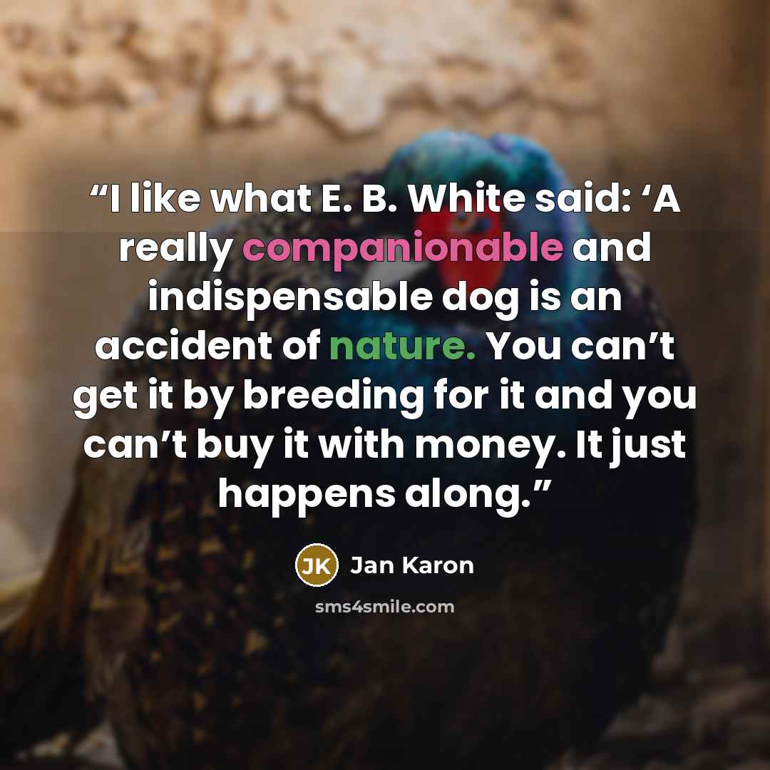“I like what E. B. White said: ‘A really companionable and indispensable dog is an accident of nature. You can’t get it by breeding for it and you can’t buy it with money. It just happens along.” quote by Jan Karon