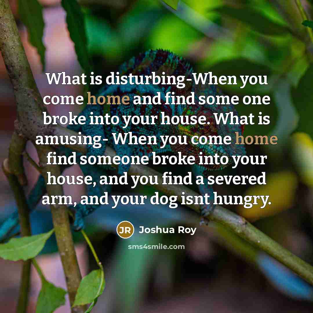 “What is disturbing-When you come home and find some one broke into your house. What is amusing- When you come home find someone broke into your house, and you find a severed arm, and your dog isnt hungry.” quote by Joshua Roy