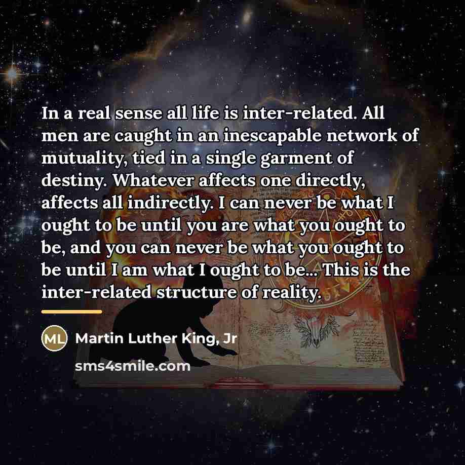 “In a real sense all life is inter-related. All men…” quote by Martin Luther King, Jr