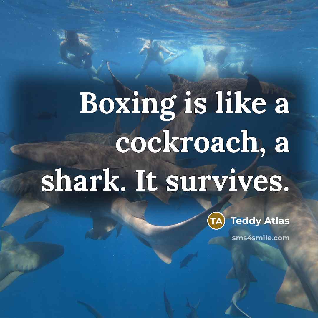 “Boxing is like a cockroach, a shark. It survives.…” quote by Teddy Atlas