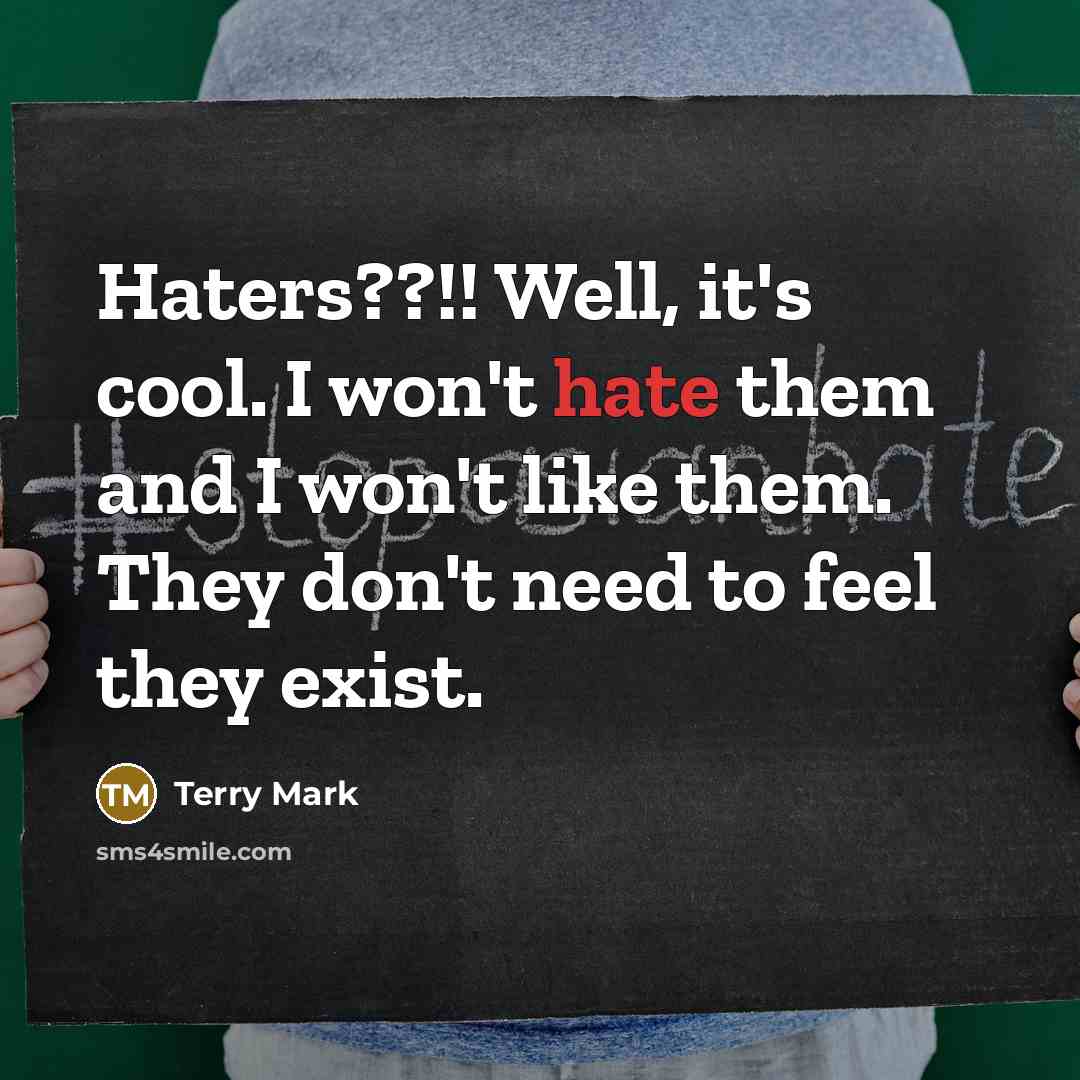 “Haters??!! Well, it's cool. I won't hate them and I won't like them. They don't need to feel they exist.” quote by Terry Mark