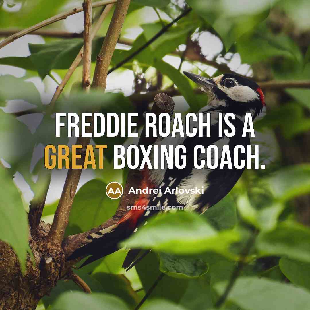 “Freddie Roach is a great boxing coach.…” quote by Andrei Arlovski