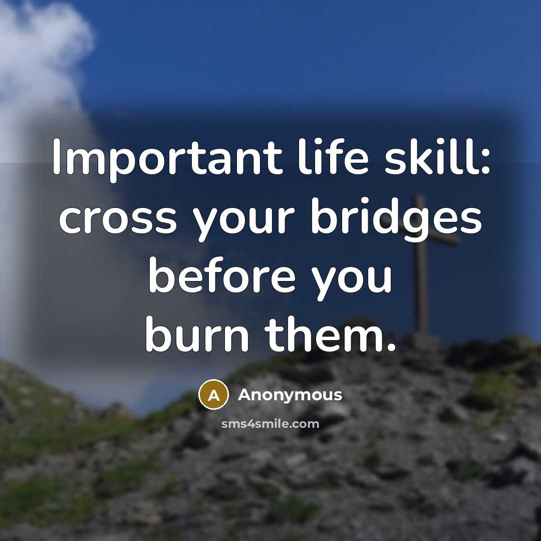 “Important life skill: cross your bridges before you burn them.…” quote by Anonymous