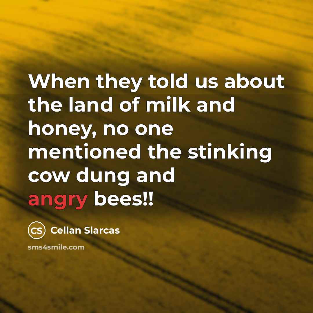 “When they told us about the land of milk and…” quote by Cellan Slarcas
