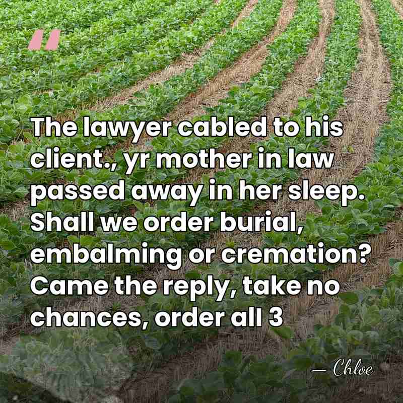 The lawyer cabled to his client., yr mother in law passed away&hellip; - Chloe