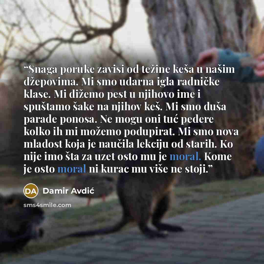 “Snaga poruke zavisi od težine keša u našim džepovima. Mi smo udarna igla radničke klase. Mi dižemo pest u njihovo ime i spuštamo šake na njihov keš. Mi smo duša parade ponosa. Ne mogu oni tuć pedere kolko ih mi možemo podupirat. Mi smo nova mladost koja je naučila lekciju od starih. Ko nije imo…” quote by Damir Avdić