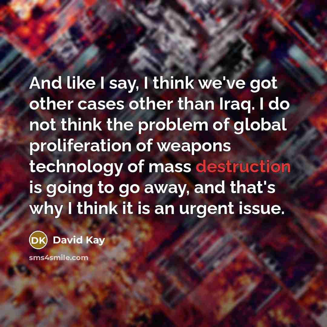 “And like I say, I think we've got other cases…” quote by David Kay