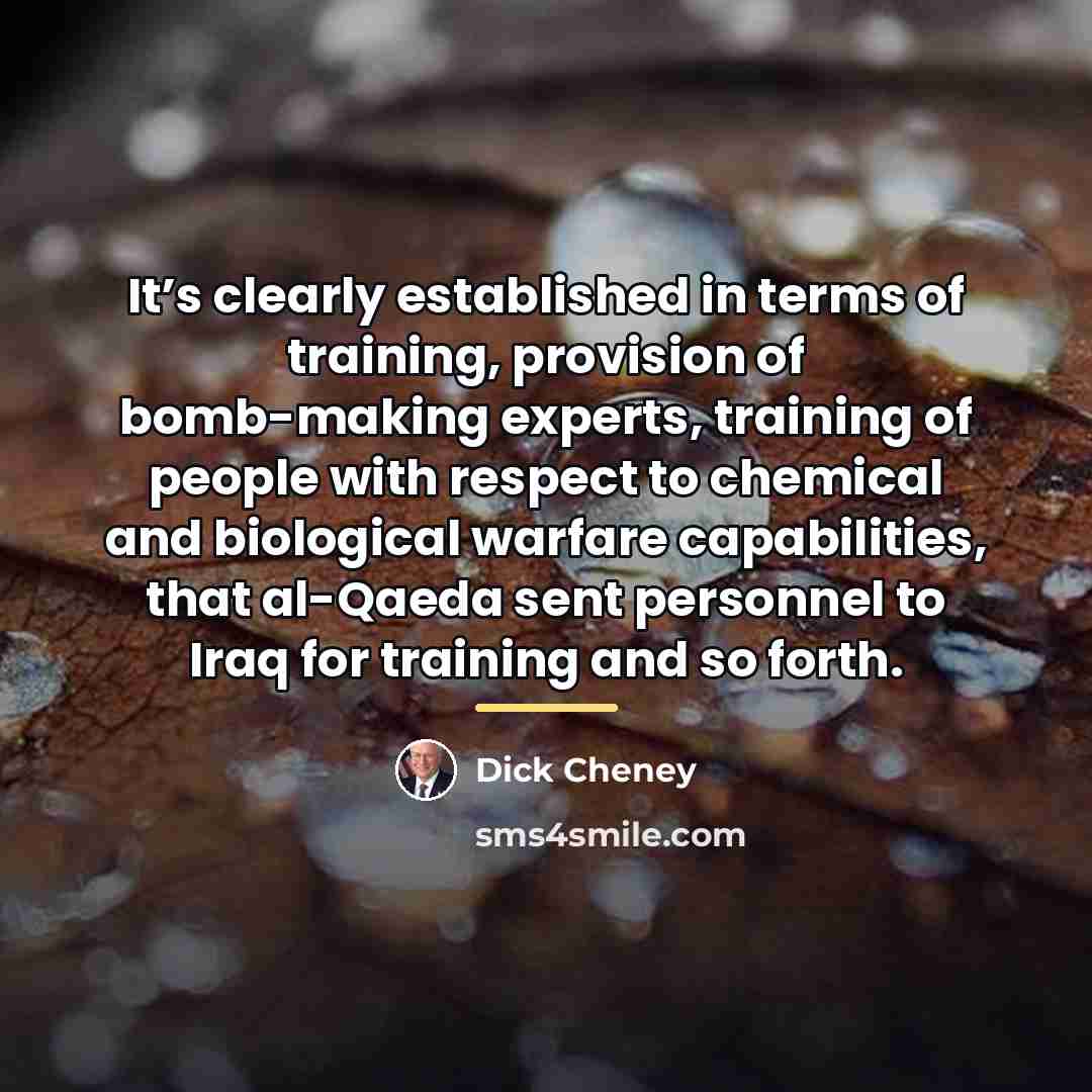“It’s clearly established in terms of training, provision of bomb-making…” quote by Dick Cheney