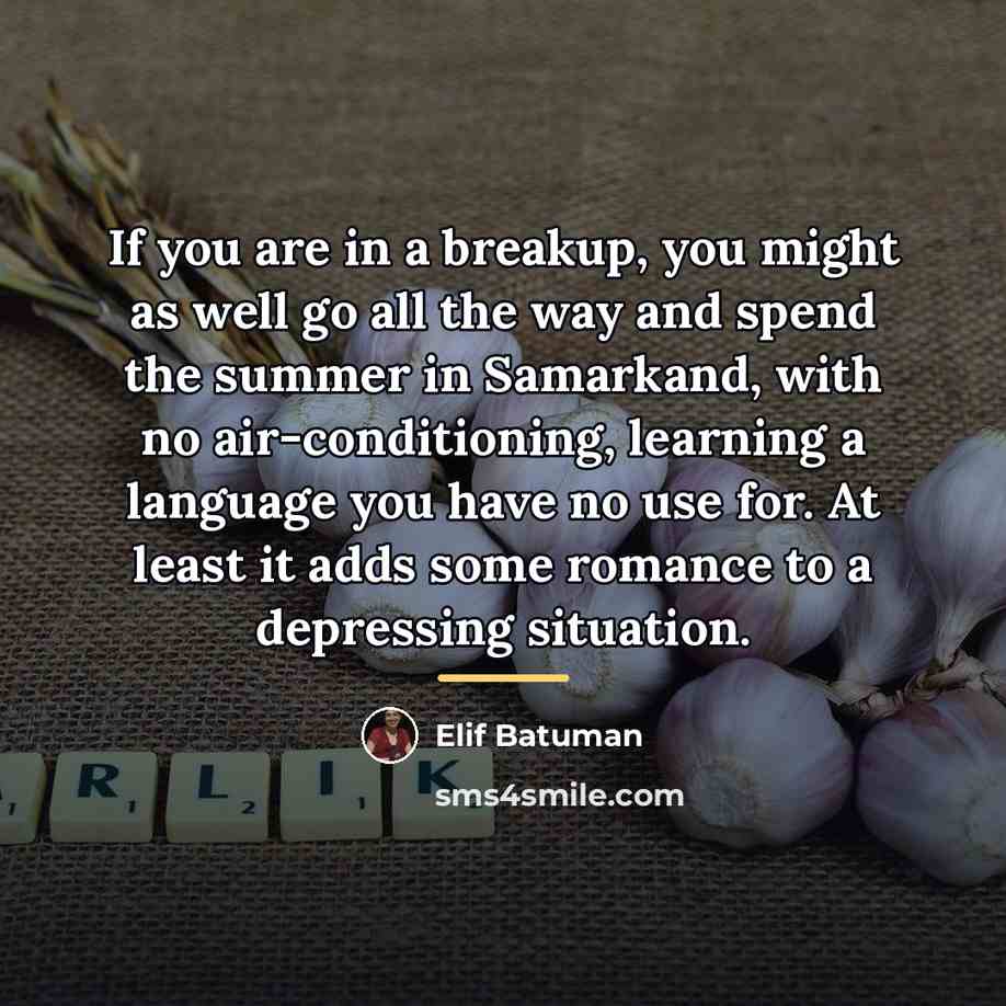 “If you are in a breakup, you might as well…” quote by Elif Batuman