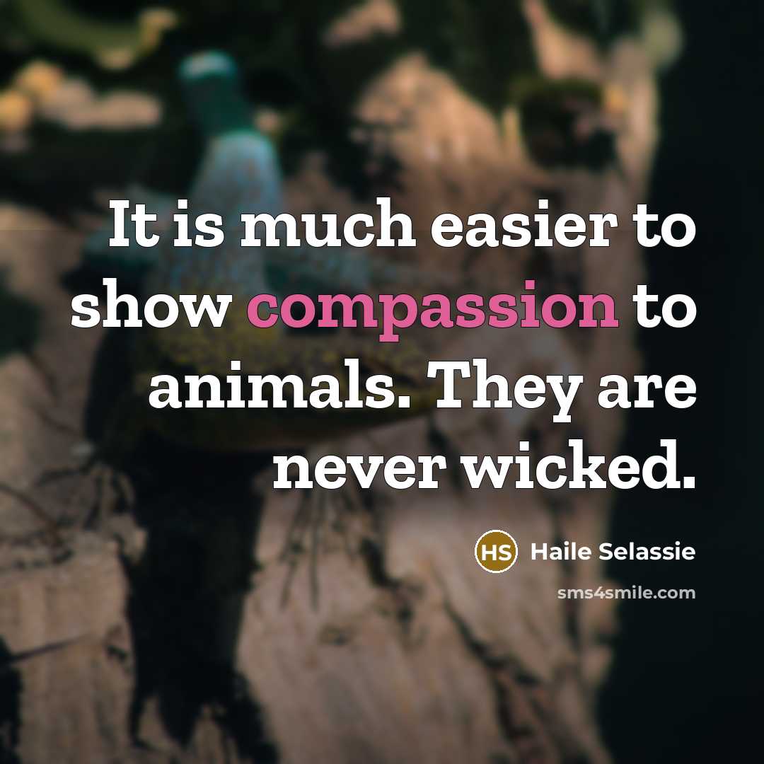“It is much easier to show compassion to animals. They…” quote by Haile Selassie