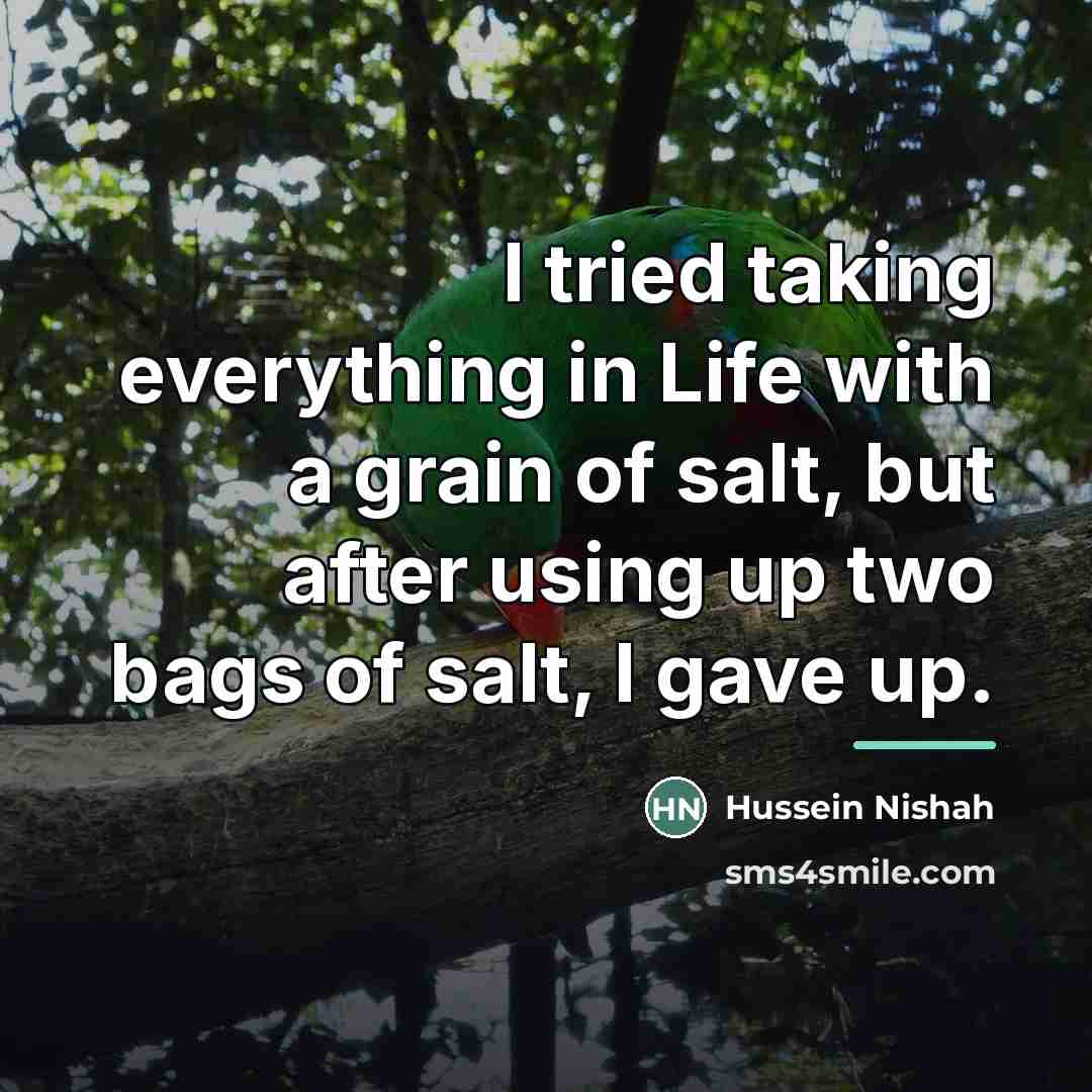 “I tried taking everything in Life with a grain of…” quote by Hussein Nishah