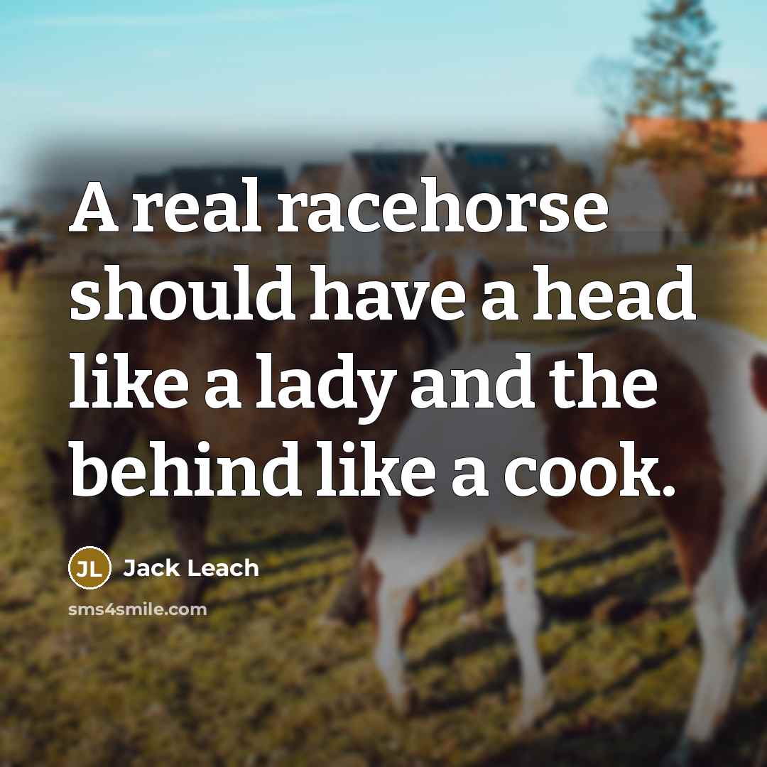 “A real racehorse should have a head like a lady…” quote by Jack Leach