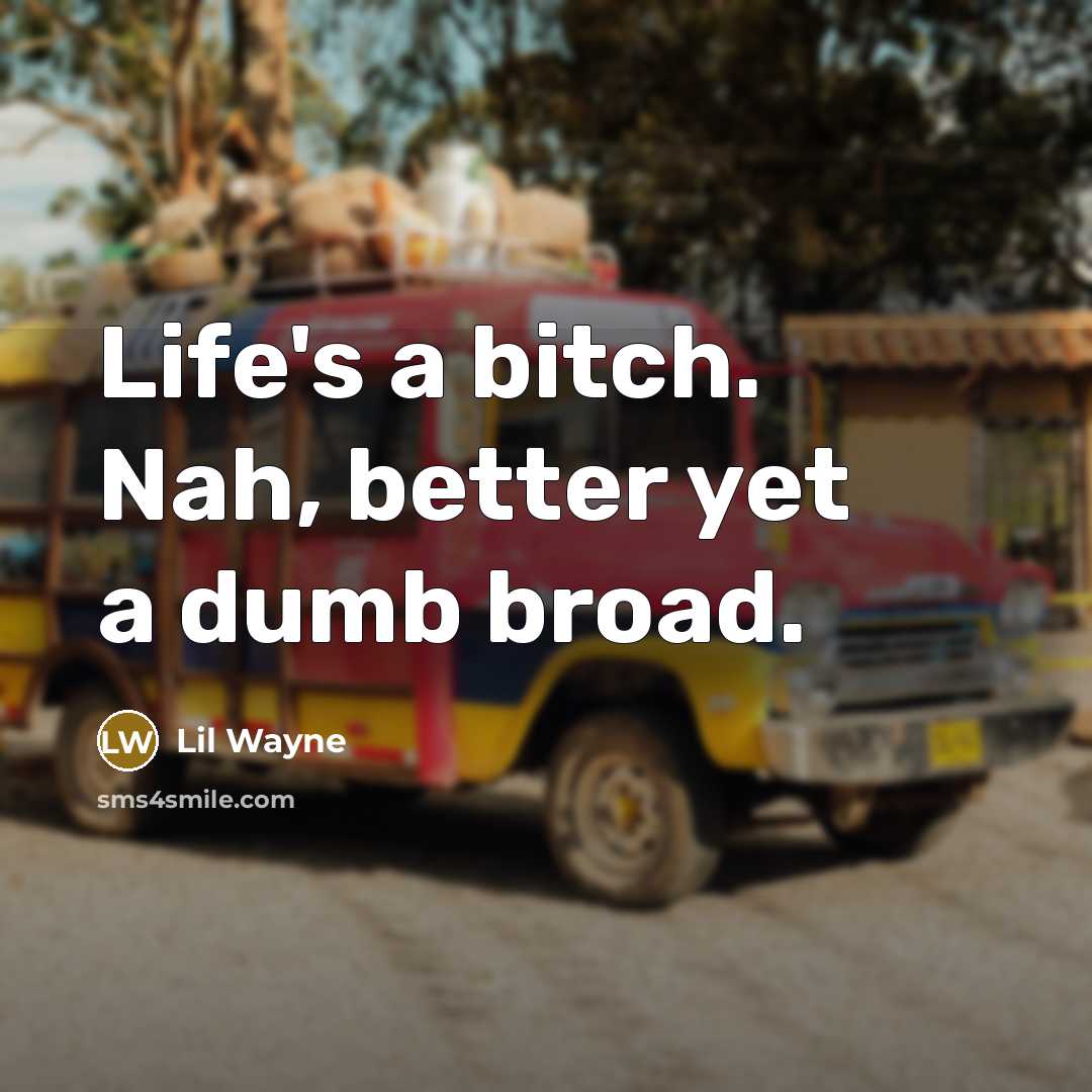 “Life's a bitch. Nah, better yet a dumb broad.…” quote by Lil Wayne