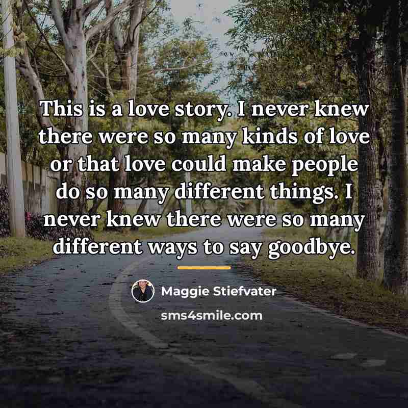 “This is a love story. I never knew there were…” quote by Maggie Stiefvater