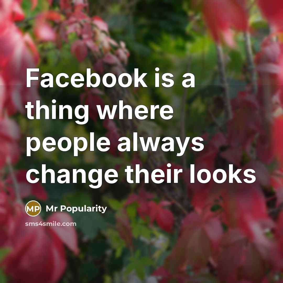 “Facebook is a thing where people always change their looks” quote by Mr Popularity
