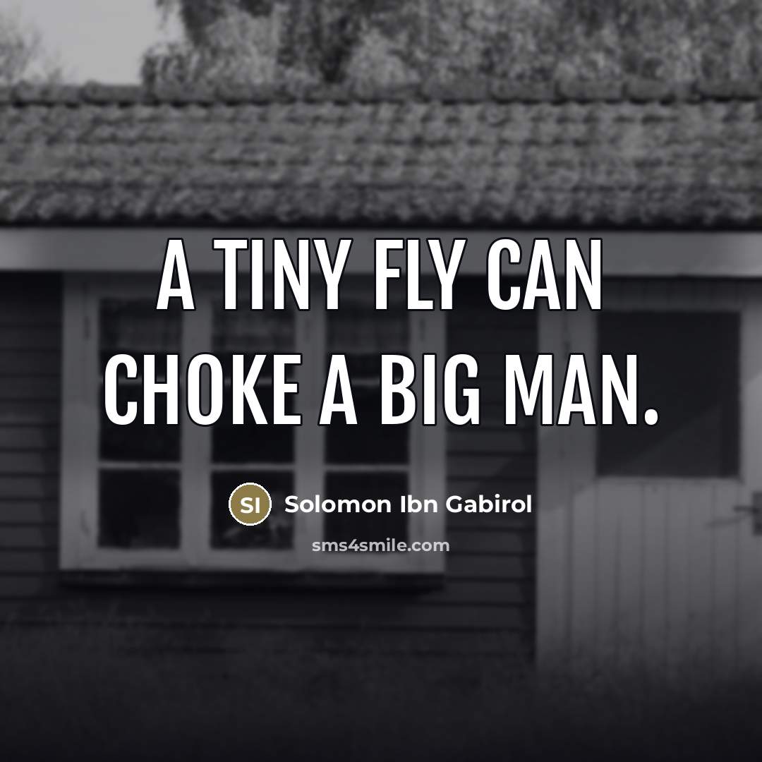 “A tiny fly can choke a big man.…” quote by Solomon Ibn Gabirol