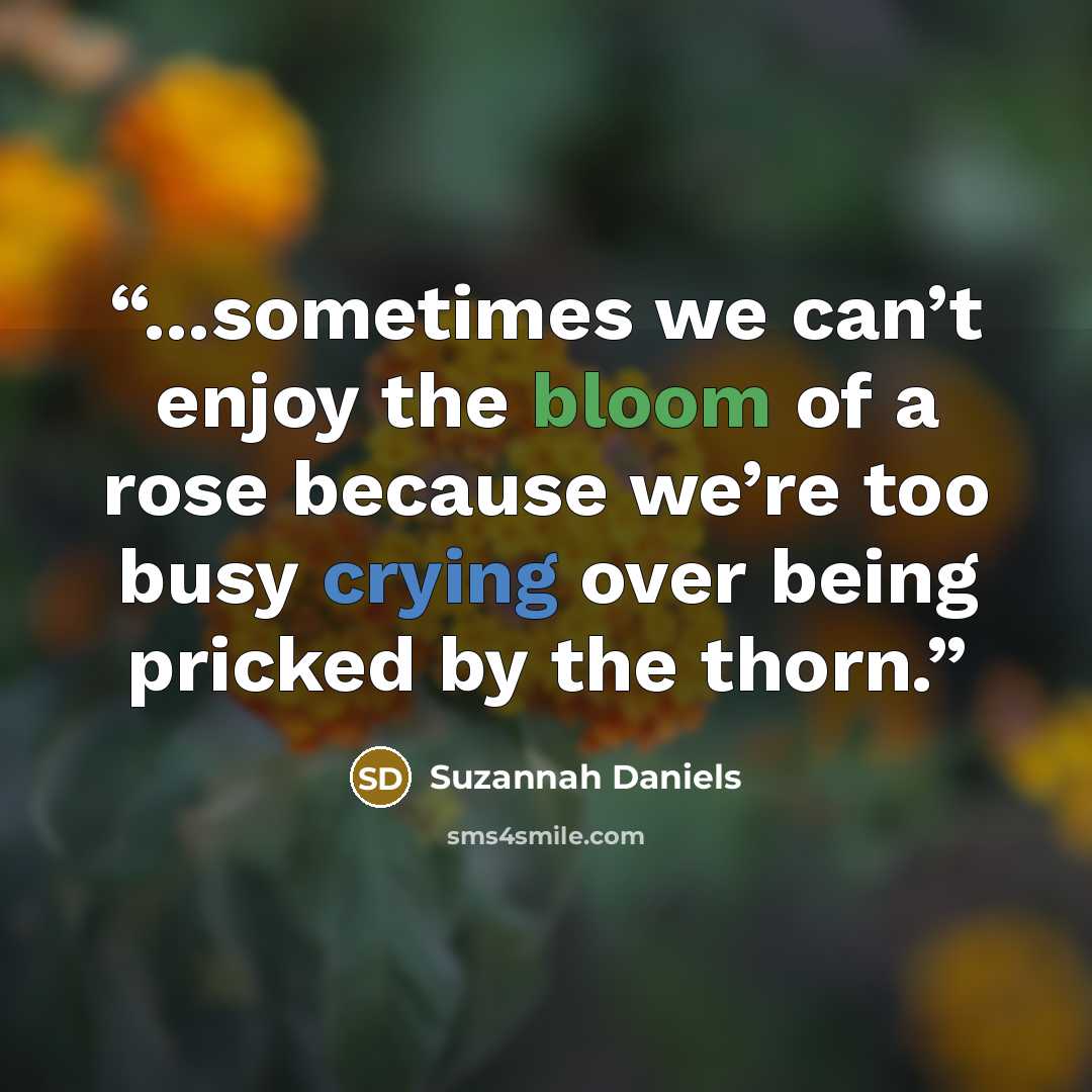 “...sometimes we can’t enjoy the bloom of a rose because we’re too busy crying over being pricked by the thorn.” quote by Suzannah Daniels