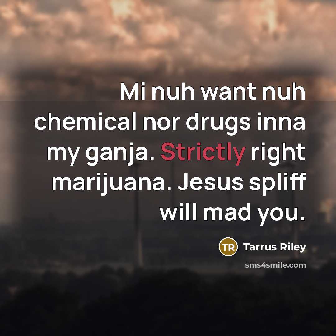 “Mi nuh want nuh chemical nor drugs inna my ganja. Strictly right marijuana. Jesus spliff will mad you.” quote by Tarrus Riley