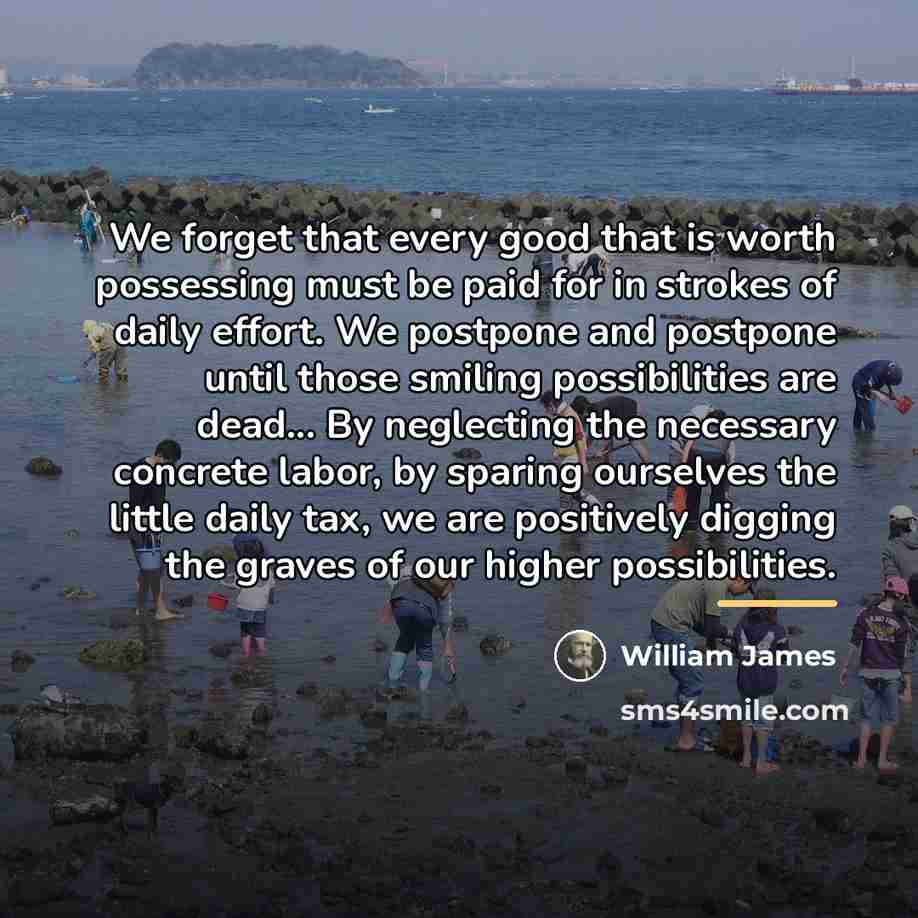 “We forget that every good that is worth possessing must…” quote by William James