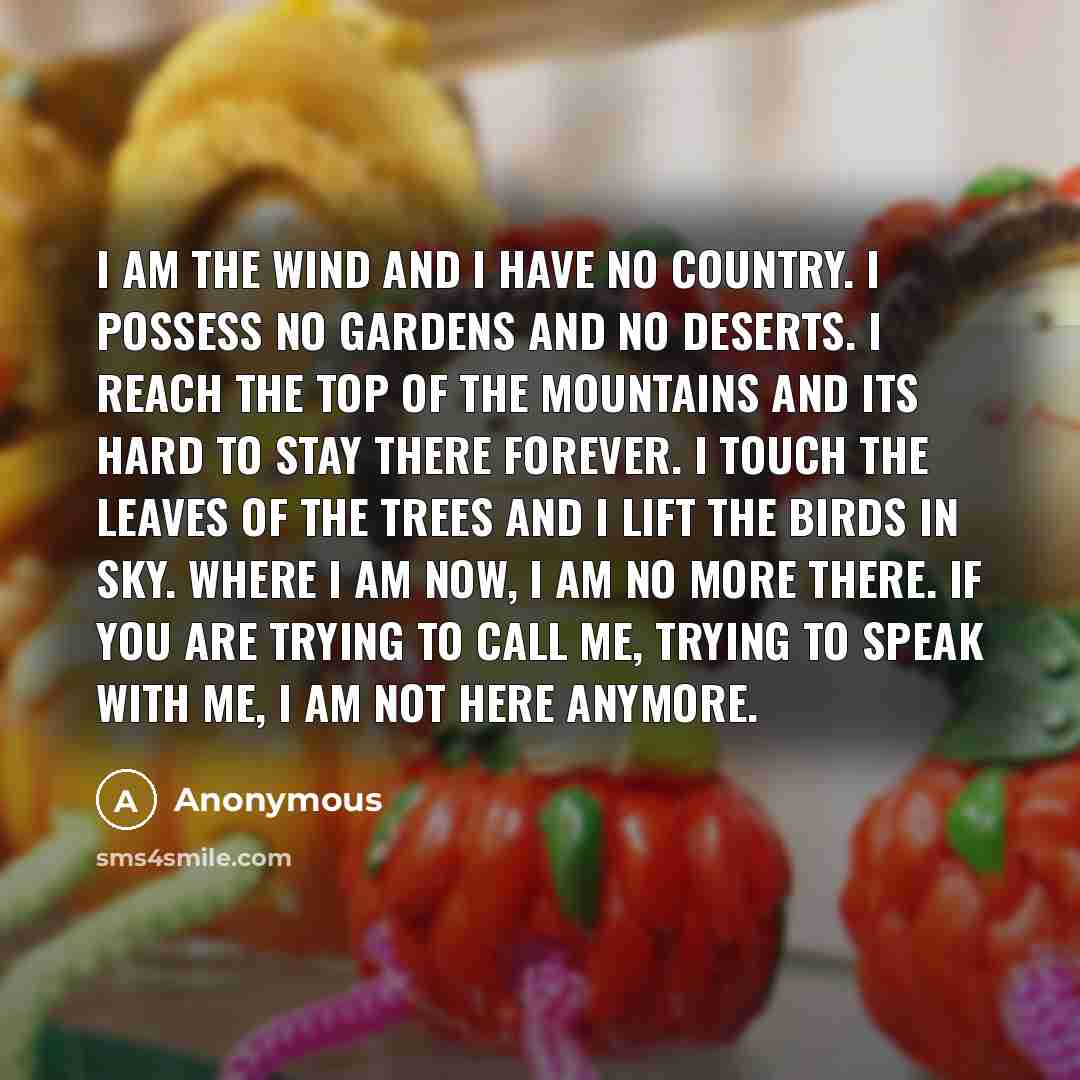 “I am the wind and I have no country. I…” quote by Anonymous