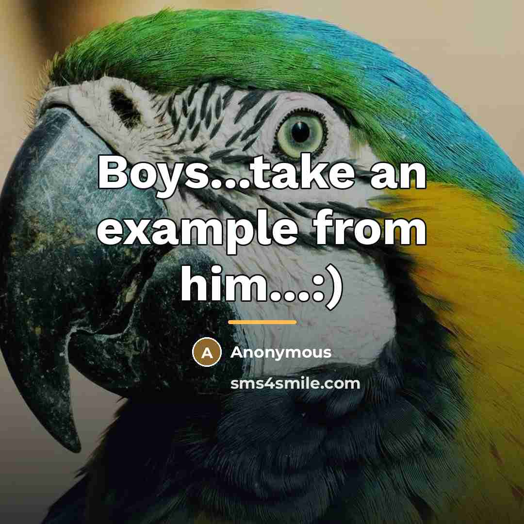 “Boys...take an example from him...:)…” quote by Anonymous