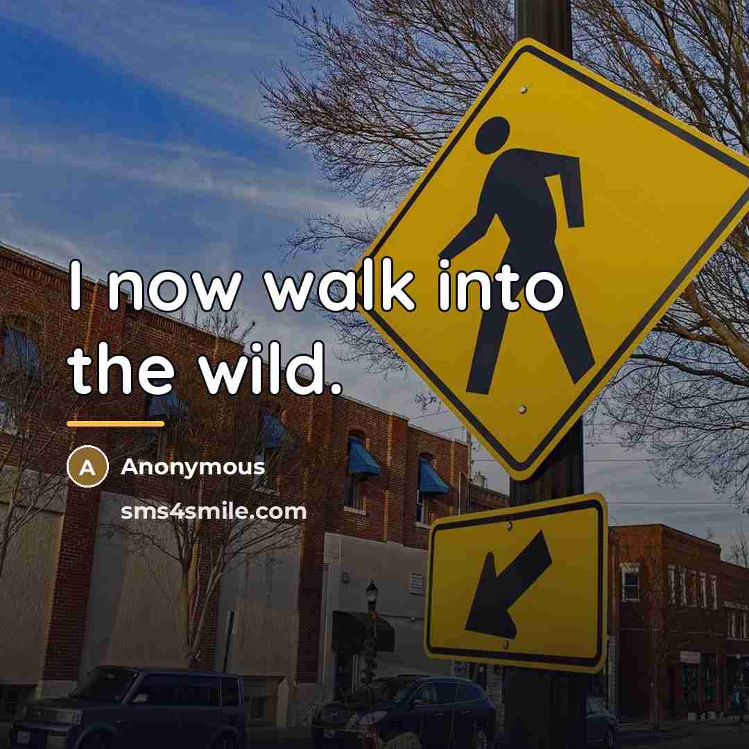 “I now walk into the wild.…” quote by Anonymous