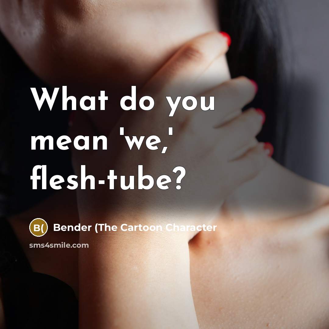 “What do you mean 'we,' flesh-tube?” quote by Bender (The Cartoon Character