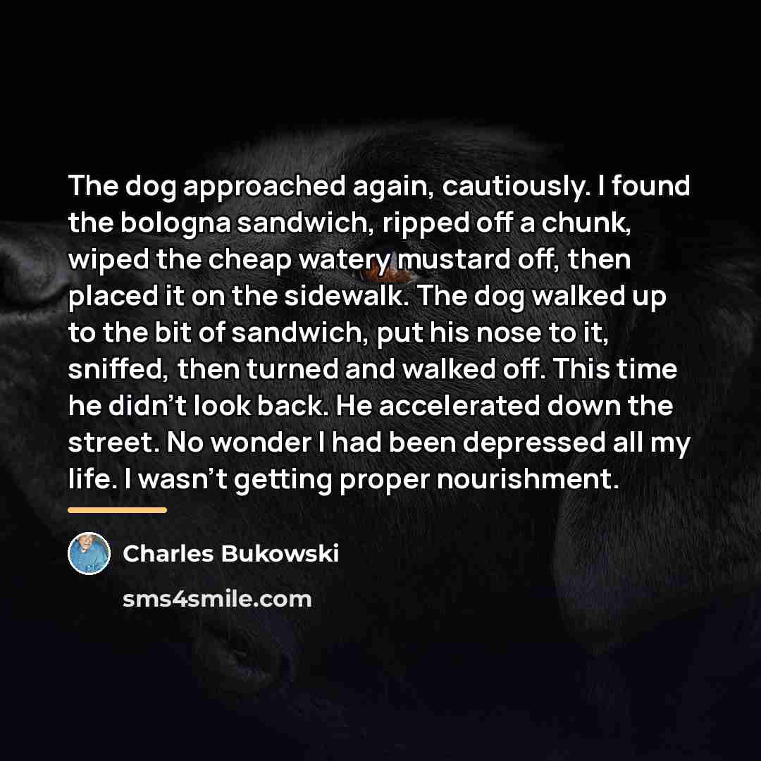 “The dog approached again, cautiously. I found the bologna sandwich,…” quote by Charles Bukowski