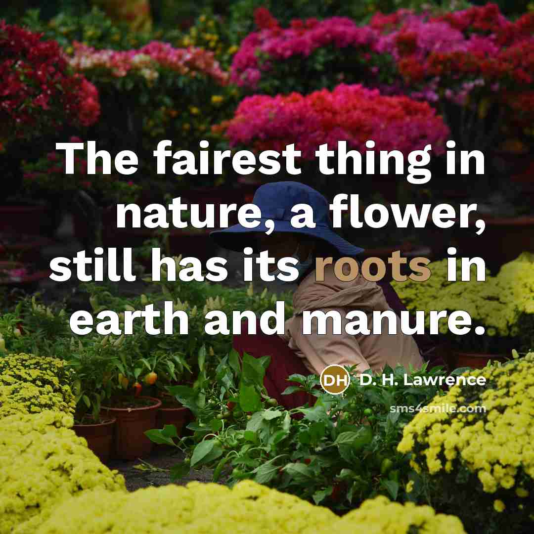 “The fairest thing in nature, a flower, still has its…” quote by D. H. Lawrence