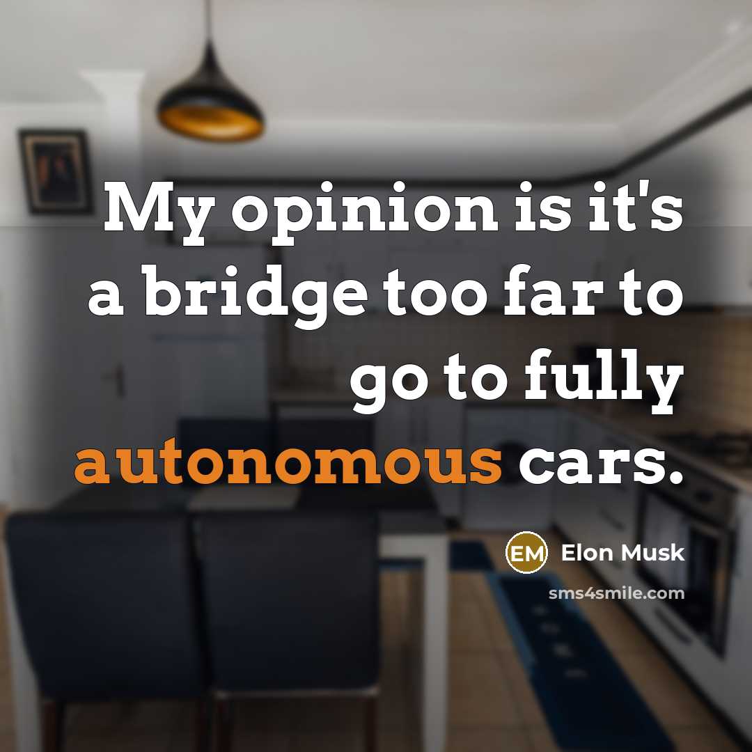 “My opinion is it's a bridge too far to go…” quote by Elon Musk