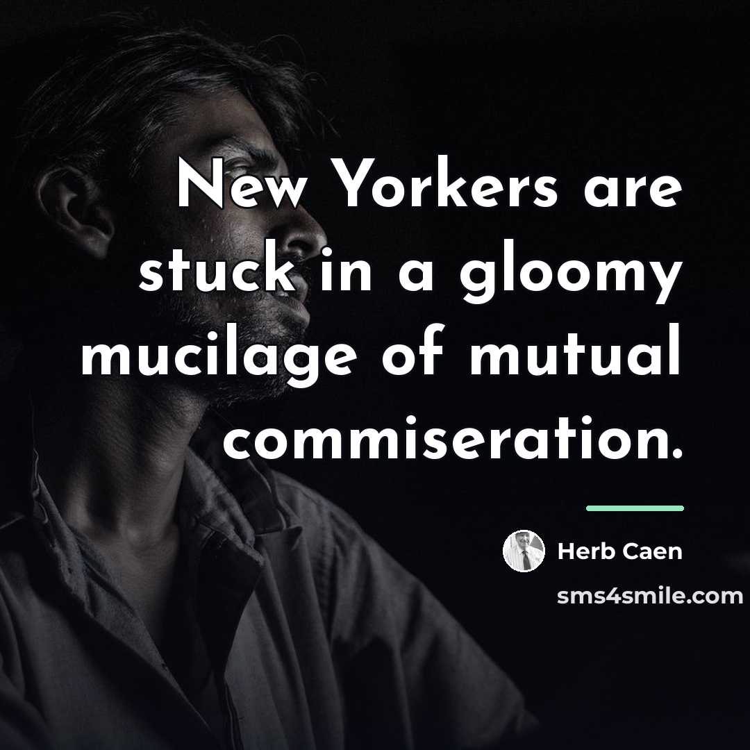 “New Yorkers are stuck in a gloomy mucilage of mutual…” quote by Herb Caen