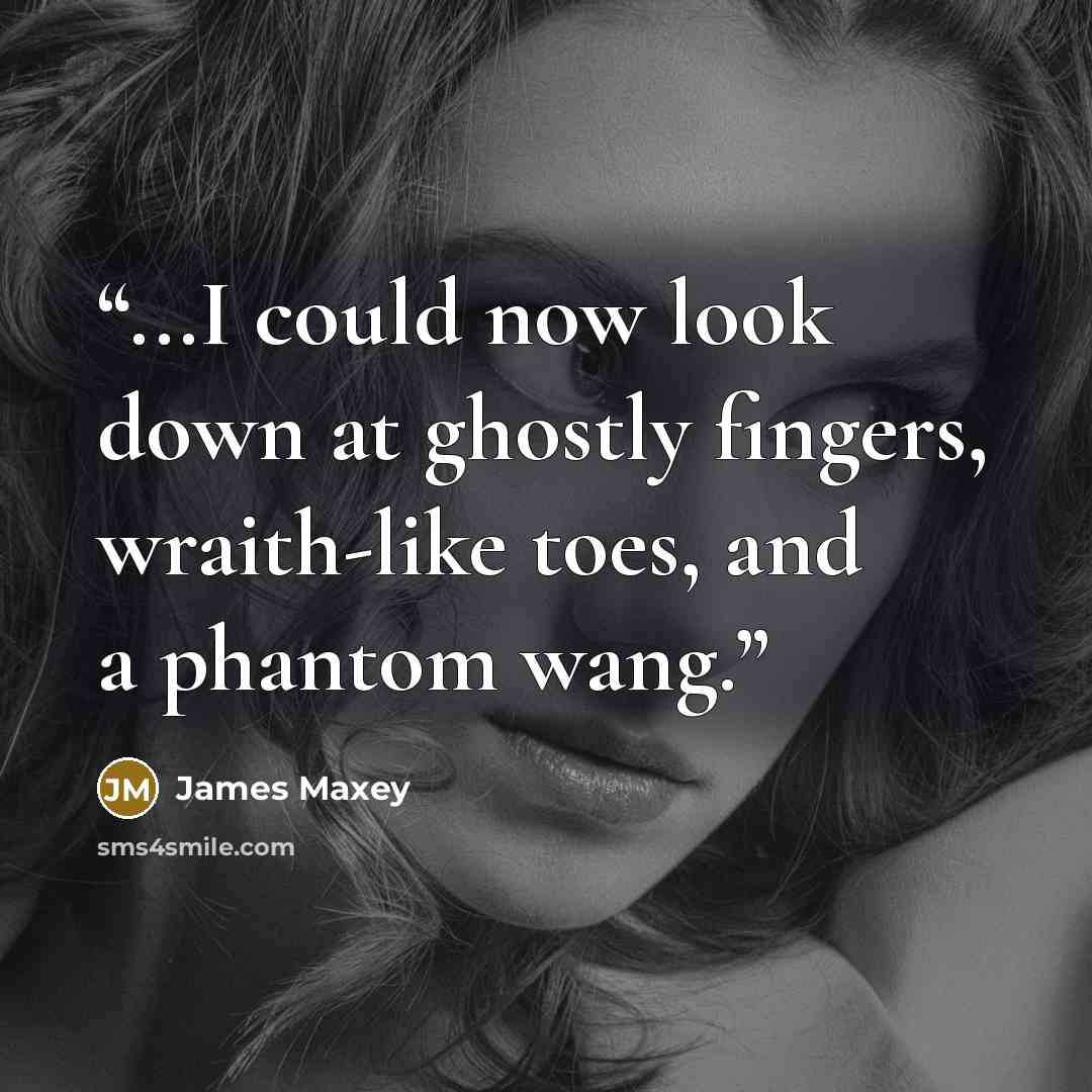 “...I could now look down at ghostly fingers, wraith-like toes, and a phantom wang.” quote by James Maxey