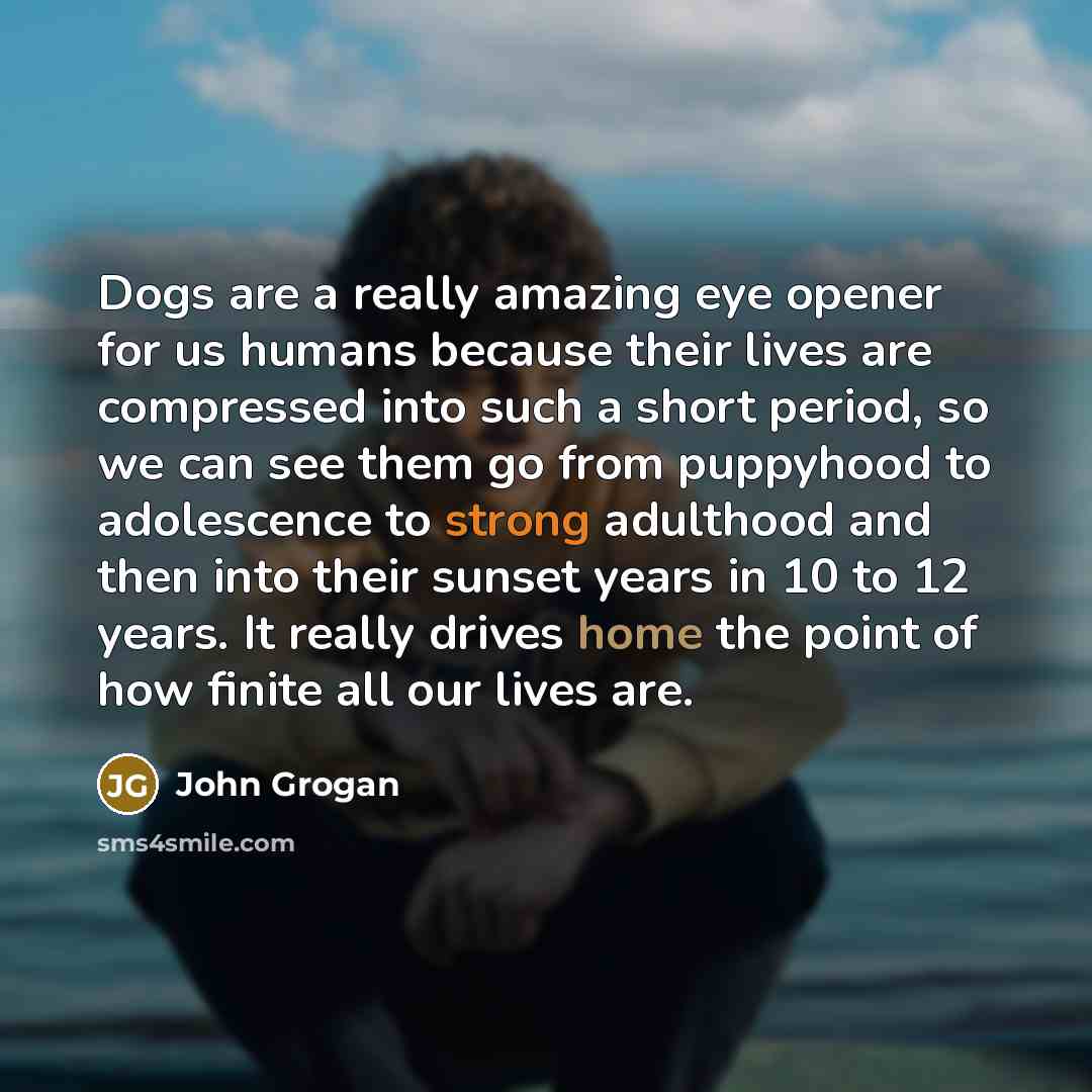 “Dogs are a really amazing eye opener for us humans…” quote by John Grogan