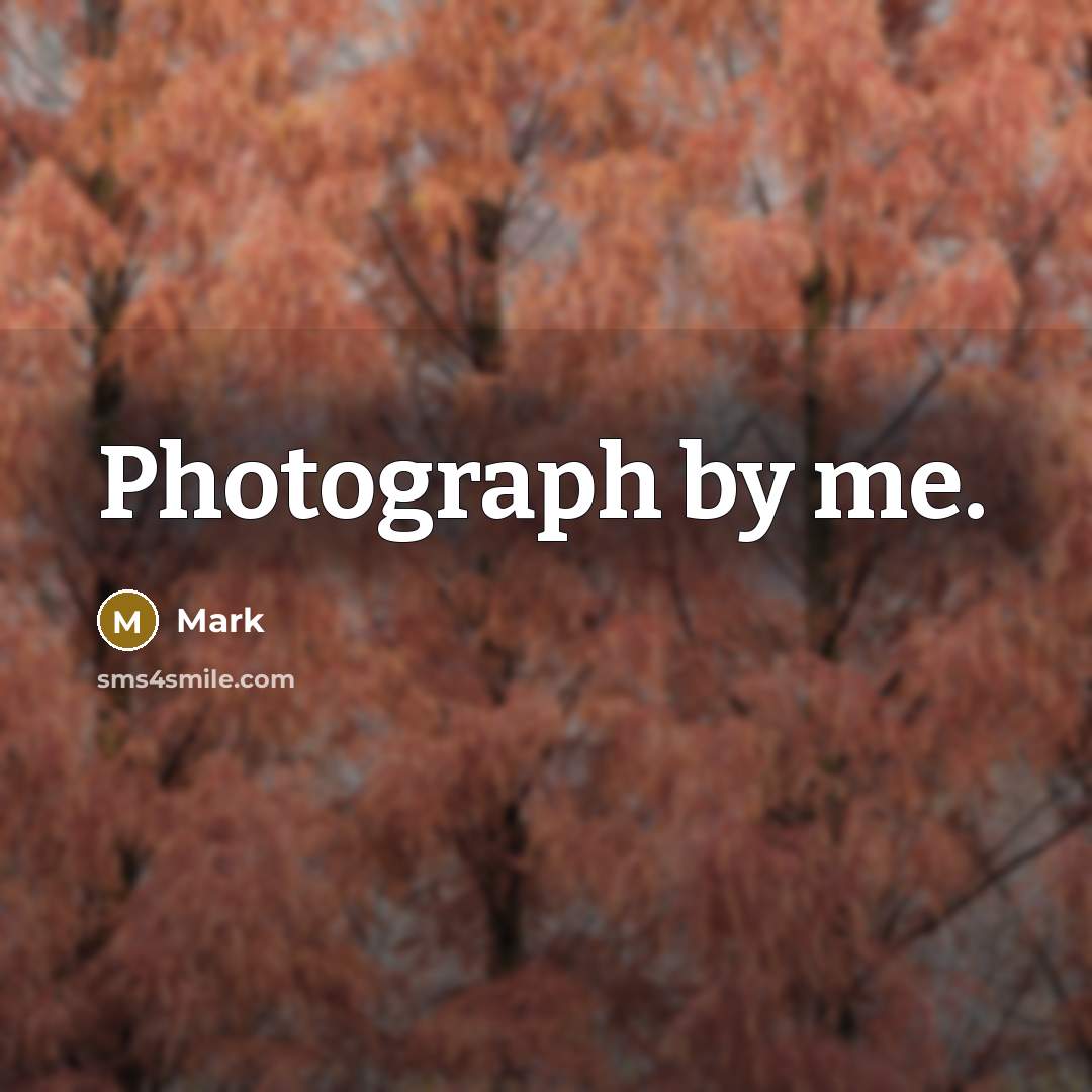 “Photograph by me.” quote by Mark